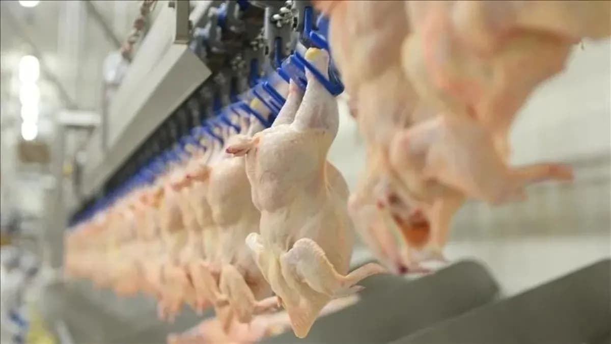 Beyaz et soruşturmasında yeni gelişme: 29 kişiye yurt dışı yasağı