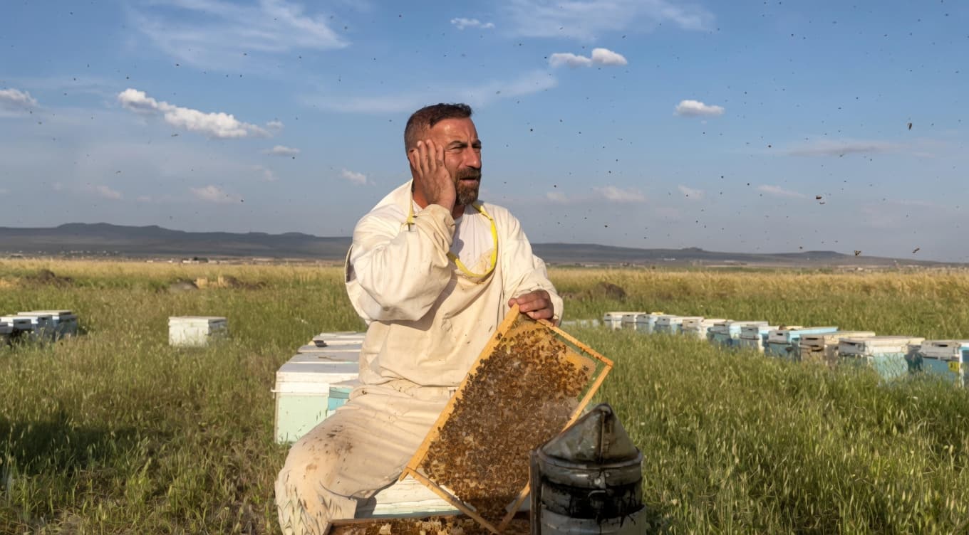 RIHA - Awazên dengbêjiyê tevlî çêja hingivê Kurdistanê dibin