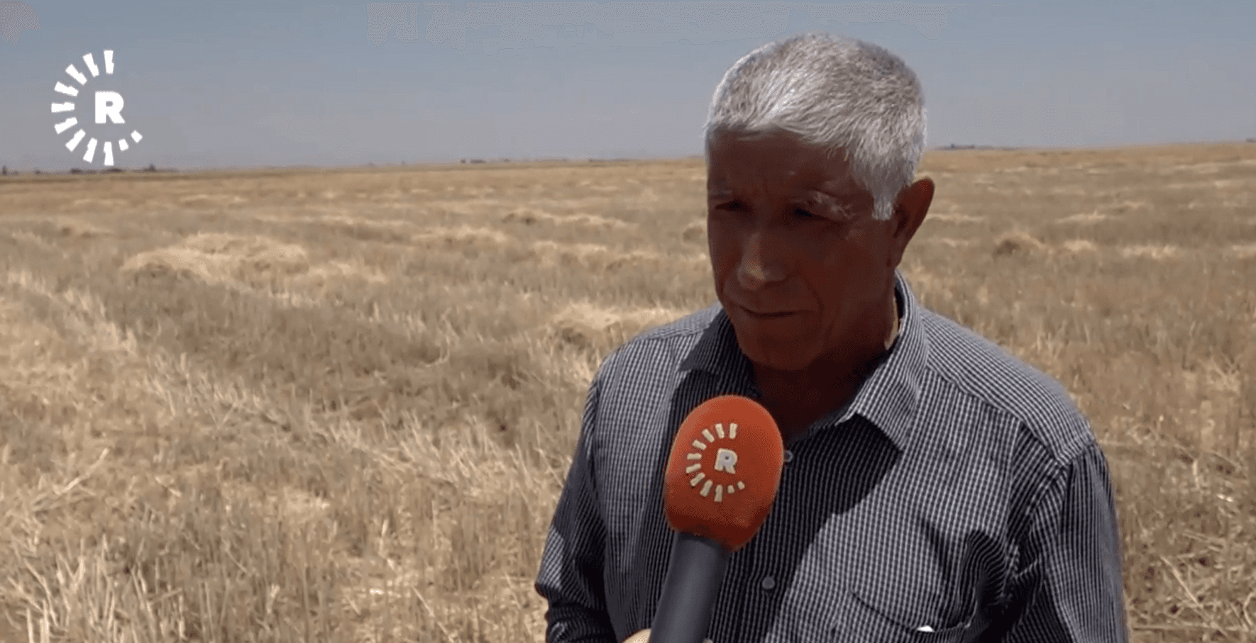 مسلحون يستولون على محاصيل المزارعين الكورد في ريف سري كانيه
