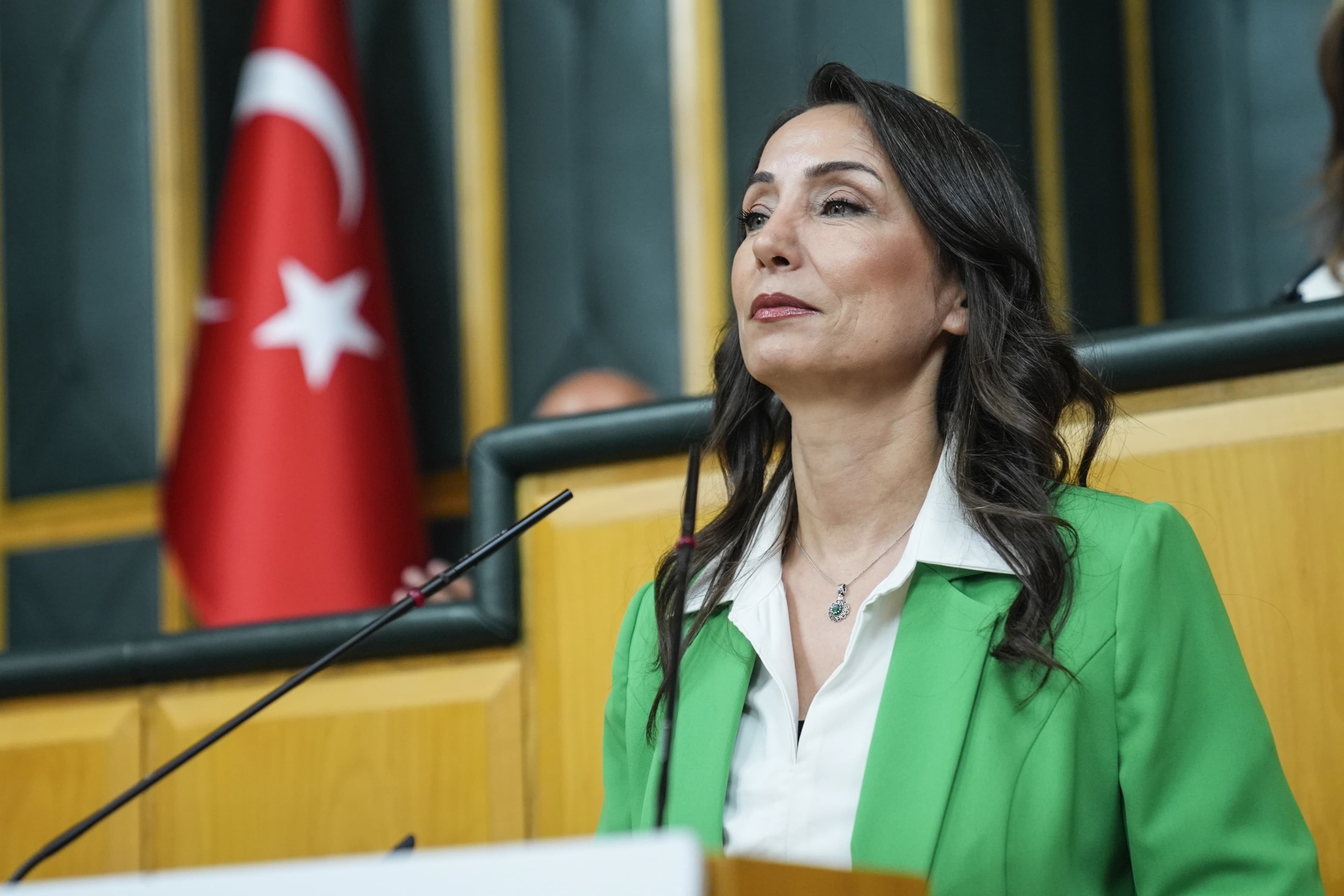 DEM Parti Eş Genel Başkanı Tülay Hatimoğulları / Foto: AA