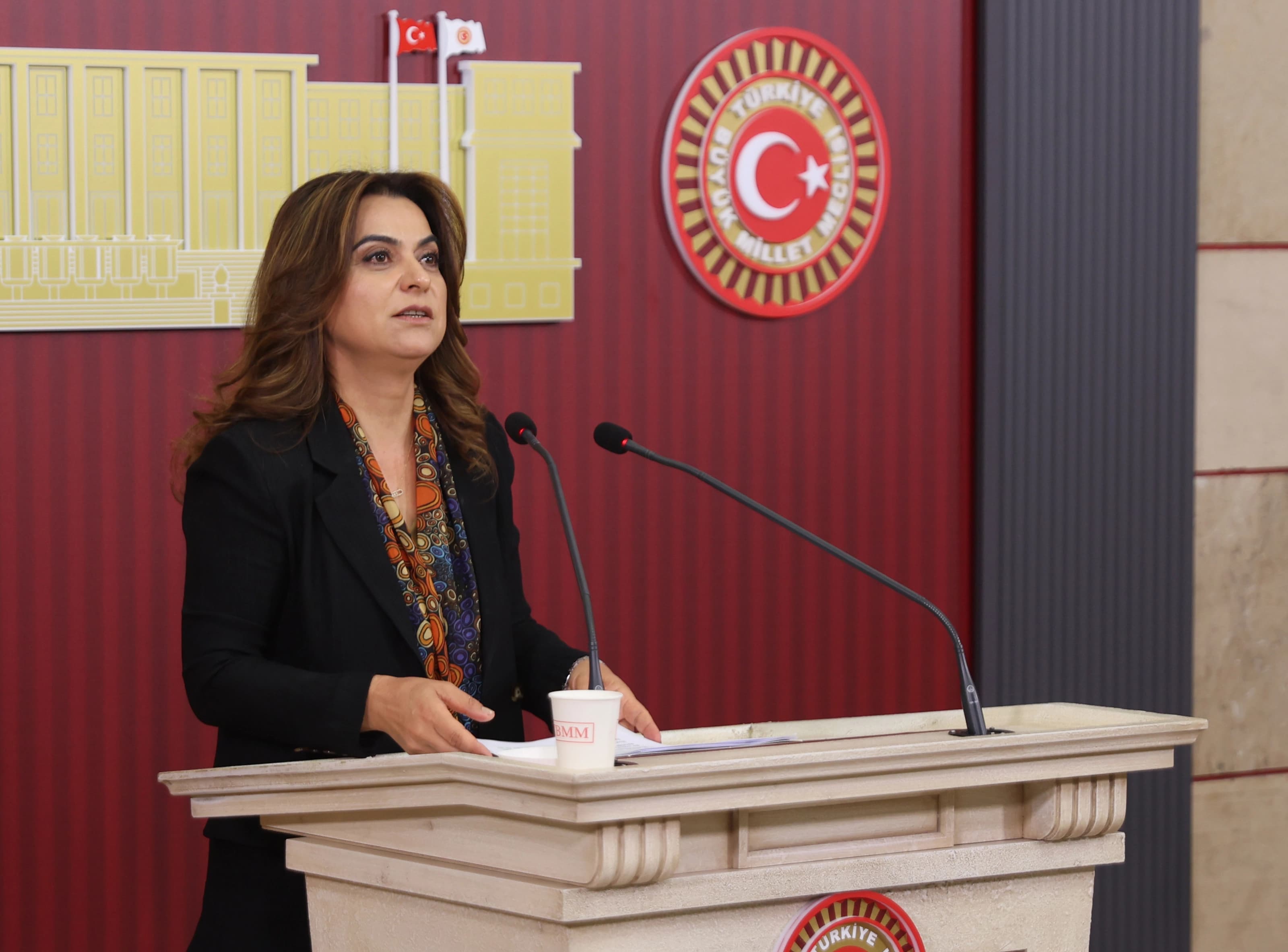 DEM Parti Grup Başkanvekili Gülistan Kılıç Koçyiğit Meclis'te basın toplantısı düzenledi. / Foto: DEM Parti Badın