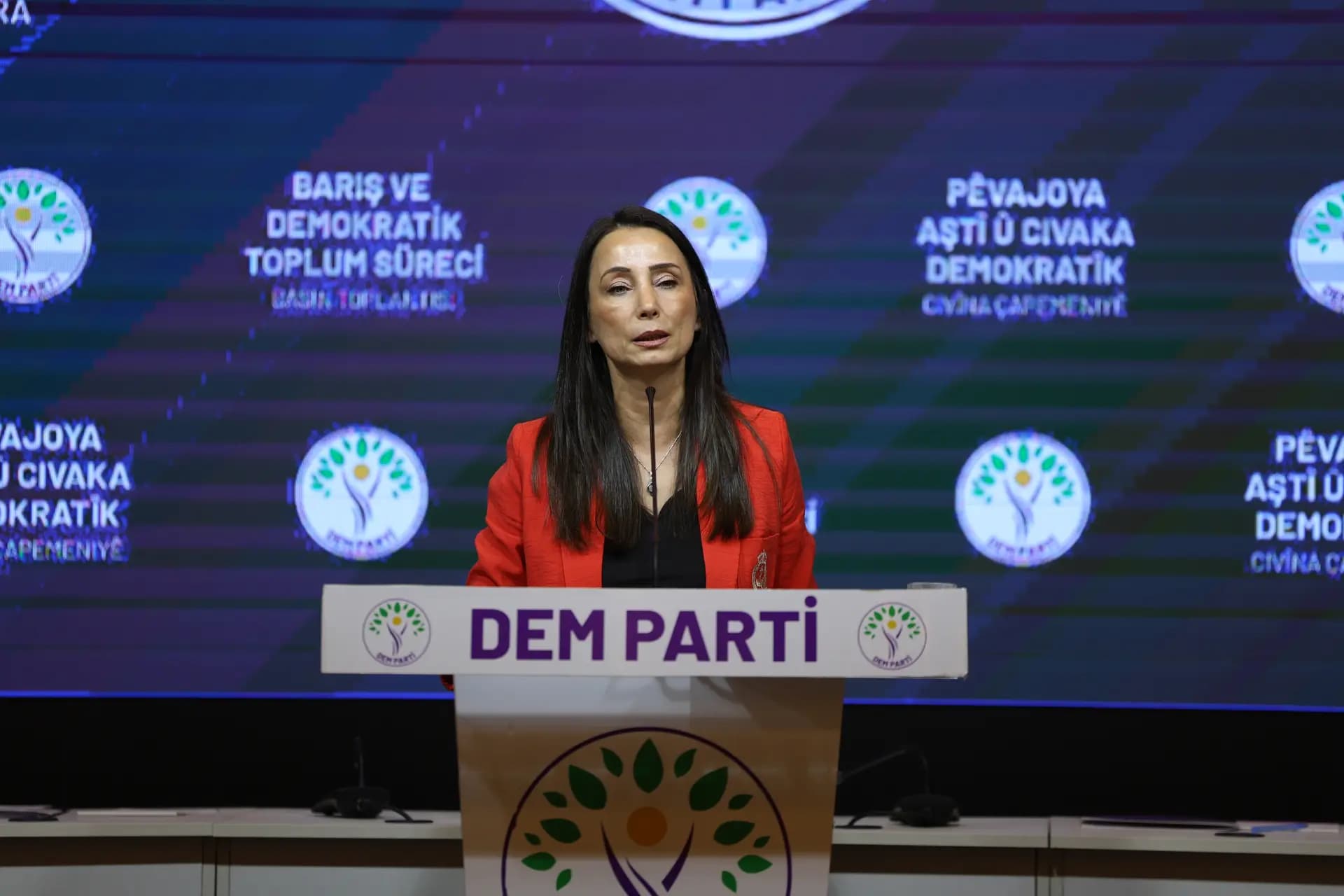 Tulay Hatîmogullari / Wêne: DEM Partî