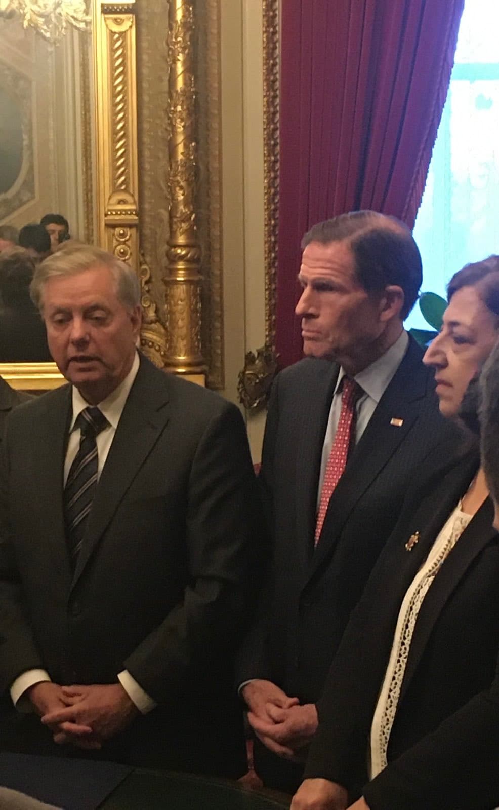 Sînem Mihemed bi Lindsey Graham û senatorên din ên Amerîkayê re / Wêne: Sînem Mihemed