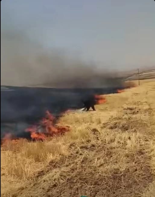 هاونیشتمانییەک هەوڵی کوژاندنەوەی ئاگرەکە دەدا