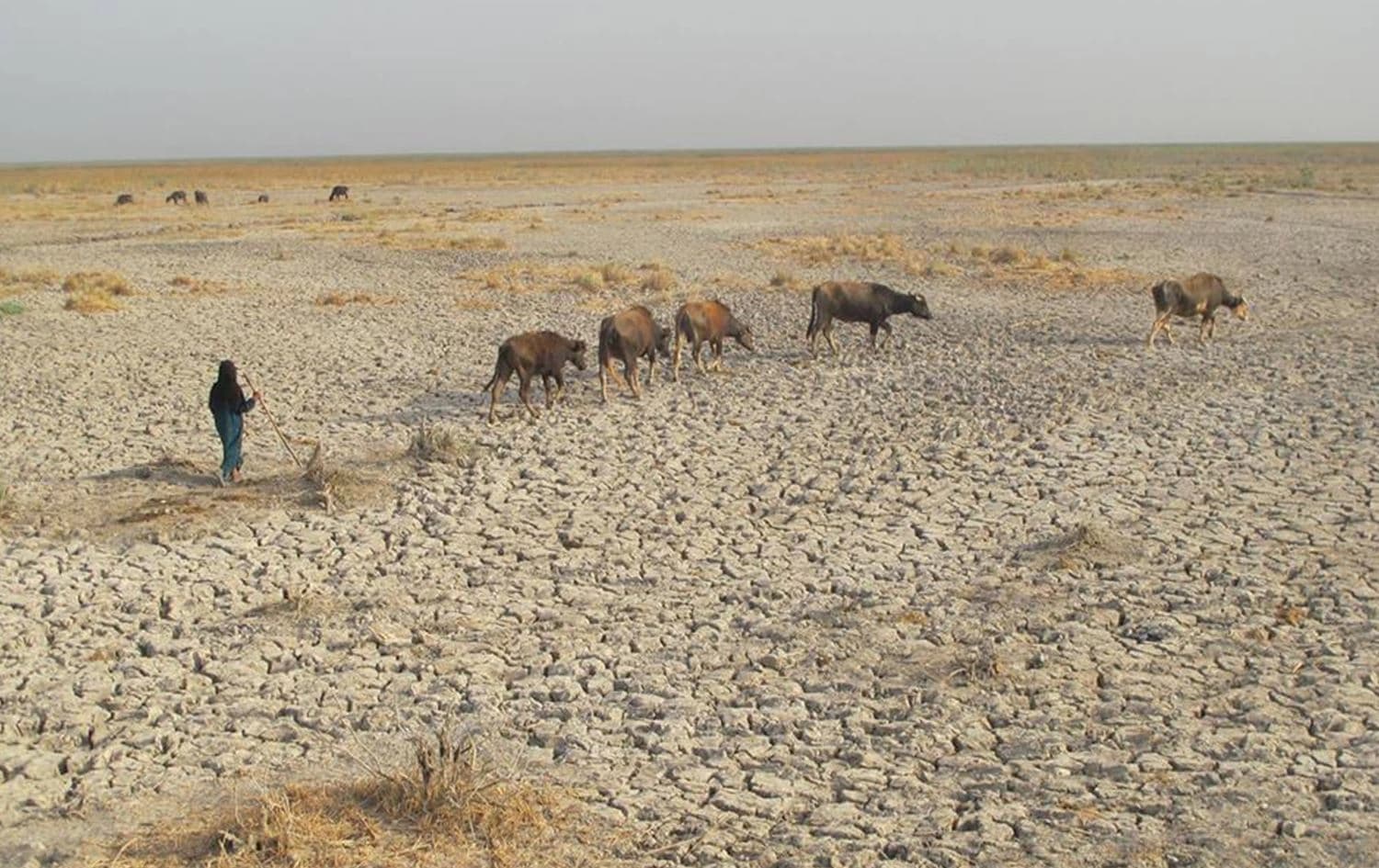 الجفاف في العراق \ أرشيفية