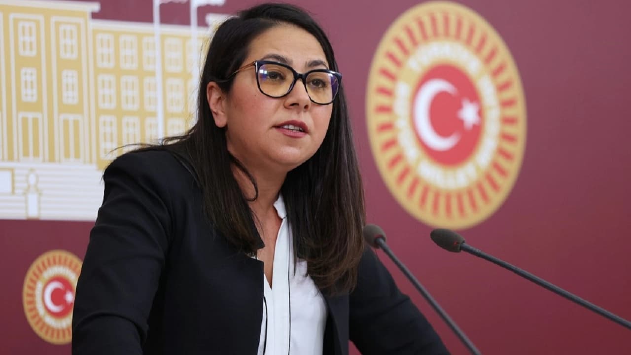 ürkiye İşçi Partisi (TİP) İstanbul Milletvekili Sera Kadıgil