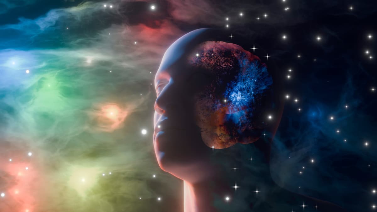 CATHERINE BONE/SCIENCE PHOTO LIBRARY/Getty Images via Science Alert