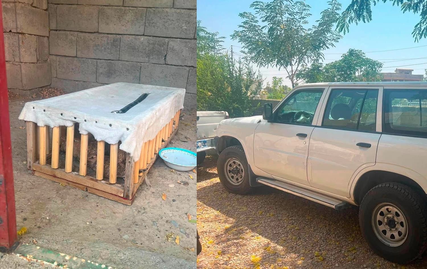 وێنەکە بۆ زیاتر روونکردنەوەی هەواڵەکەیە