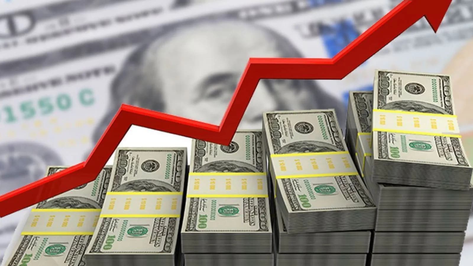 Dolar  / Wêne: Arşîv
