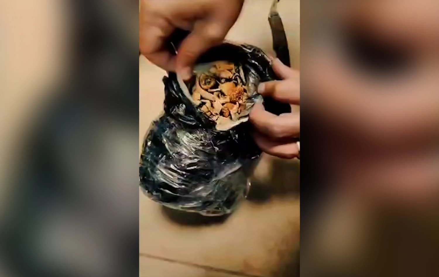 "Magic mushrooms" busted in Sulaimani through a joint operation with Baghdad. Photo: Submitted/screengrab