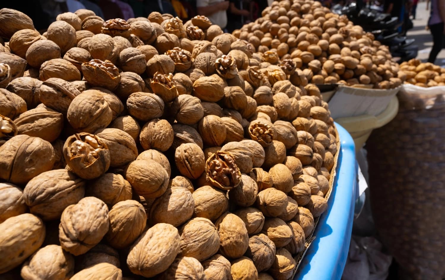 گوێز