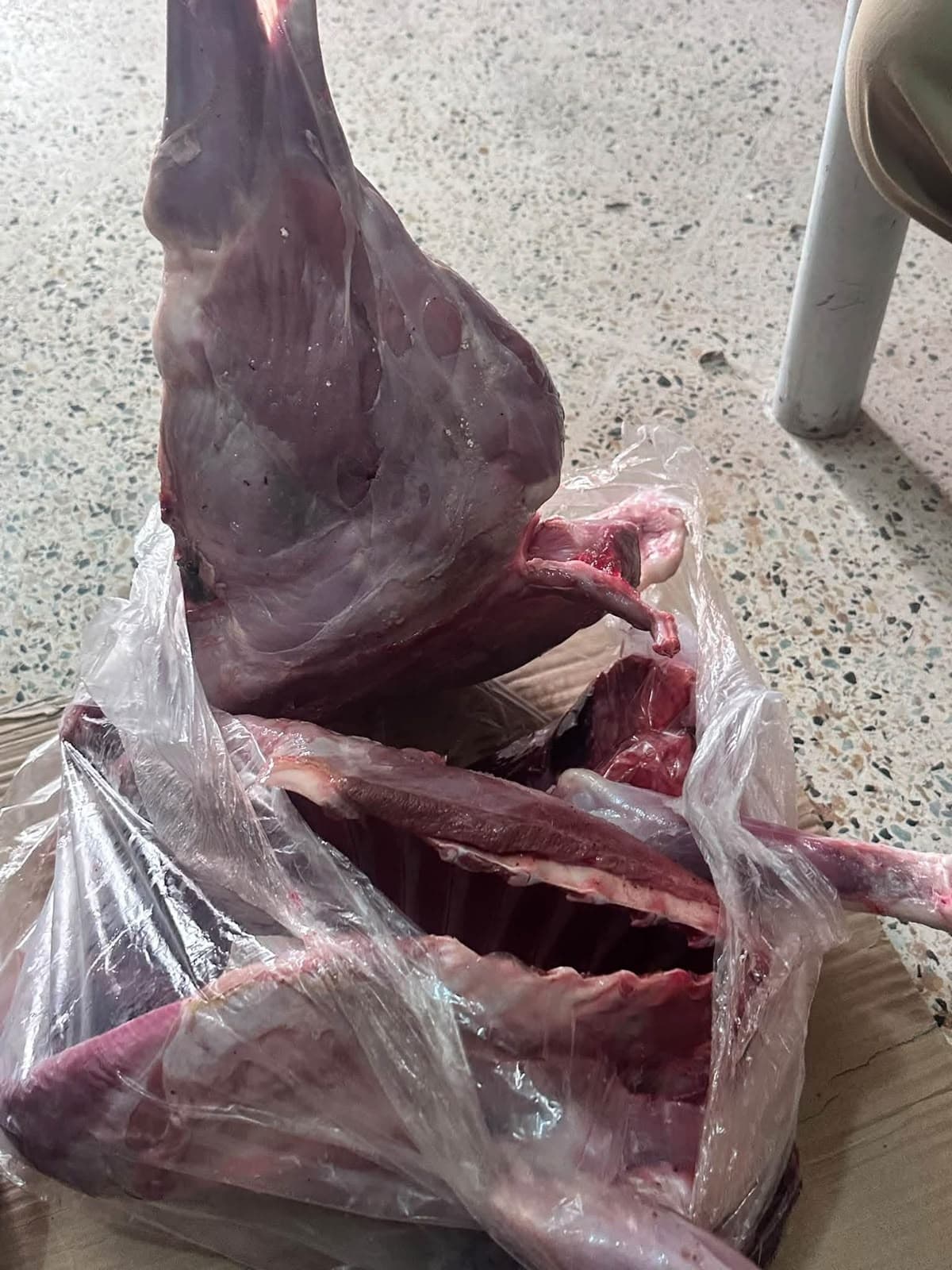 گۆشتی ئاسکەکان