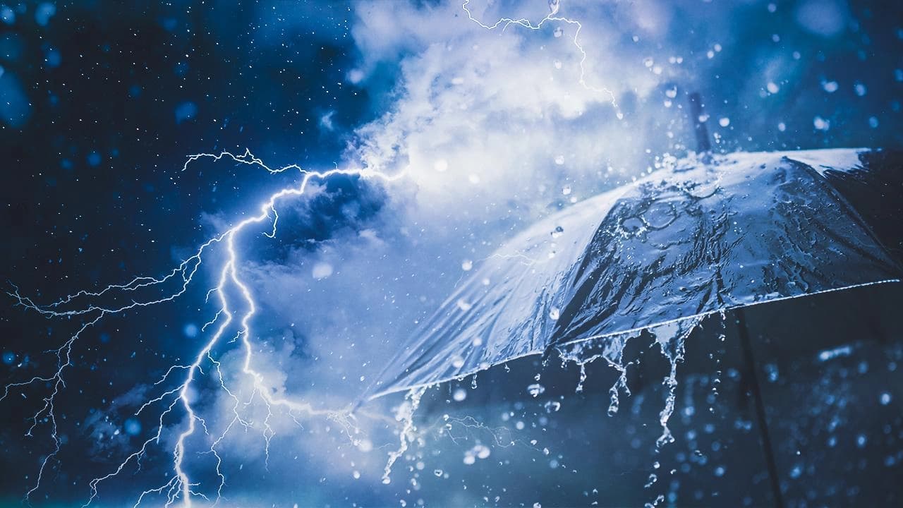 Wêneyekî temsîlî / Arşîv