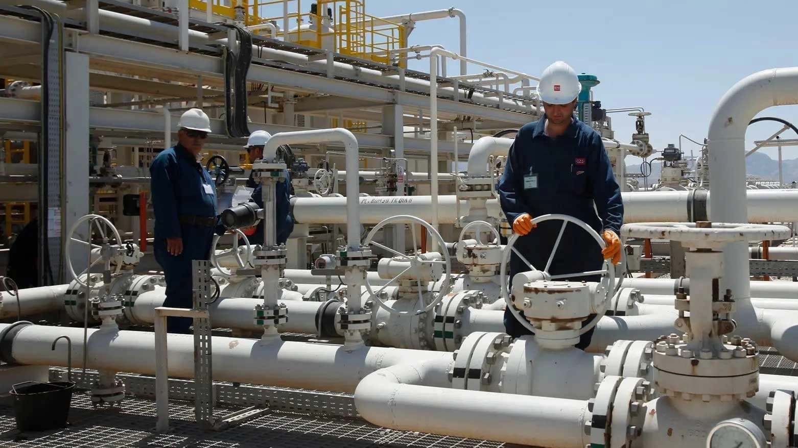کارکردن لە کێڵگەی تاوکێ. وێنە: AP