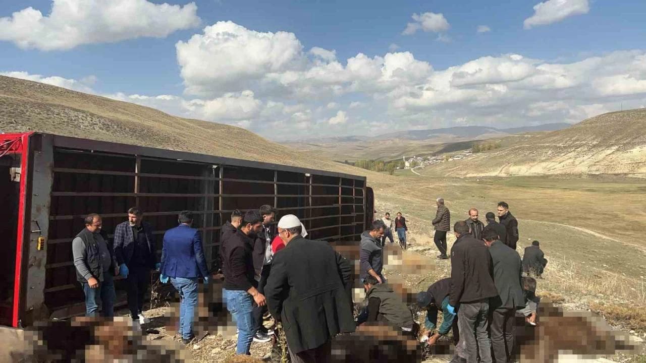 Li Erziromê barhilgirek qelibî / Wêne: Ajans