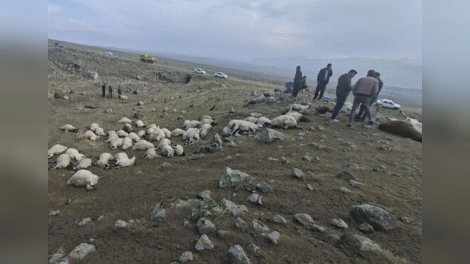 Li Makoyê birûskê li pez xist: 150 serî pez telef bûn