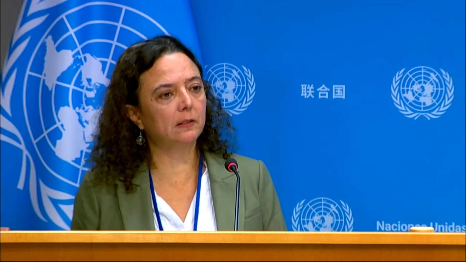 Daniela Gross De Almeida, Associate Spokesperson for the UN Secretary-General. Photo: Screengrab