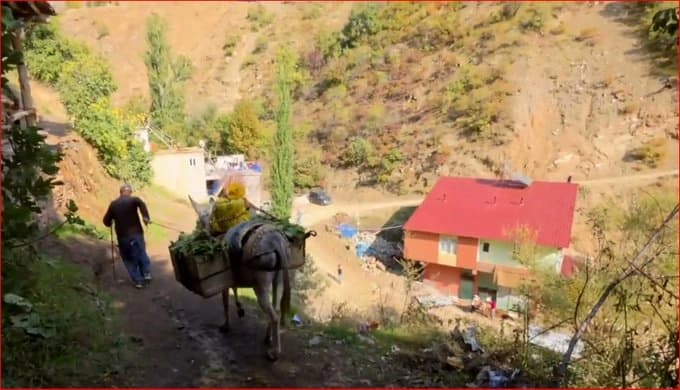 Diyarbakır’da yol yok, yaşam eşeklerin sırtında