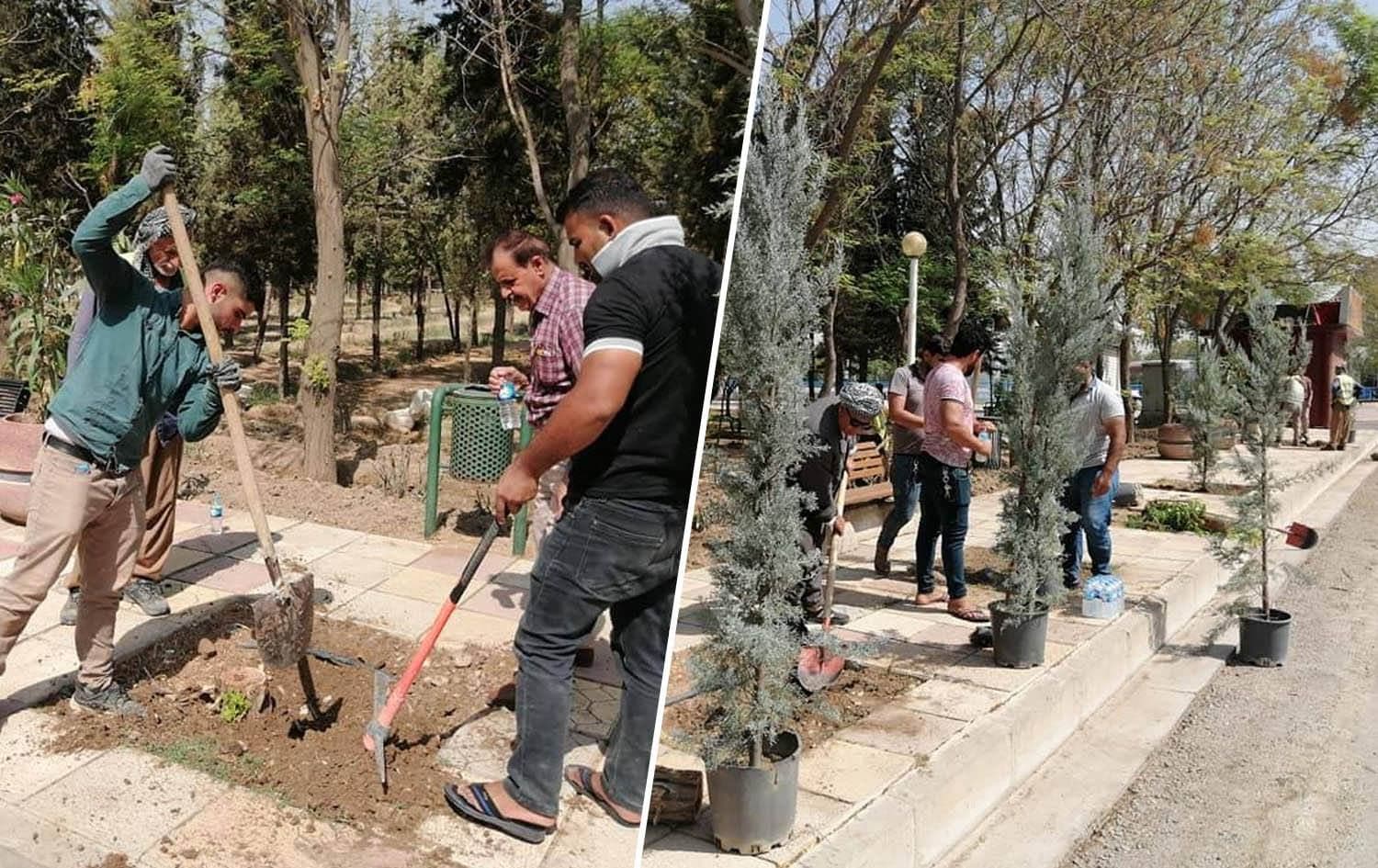 ئەمساڵ زیاتر لە 200 هەزار درەخت و نەمام لە هەولێر دەچێندرێن