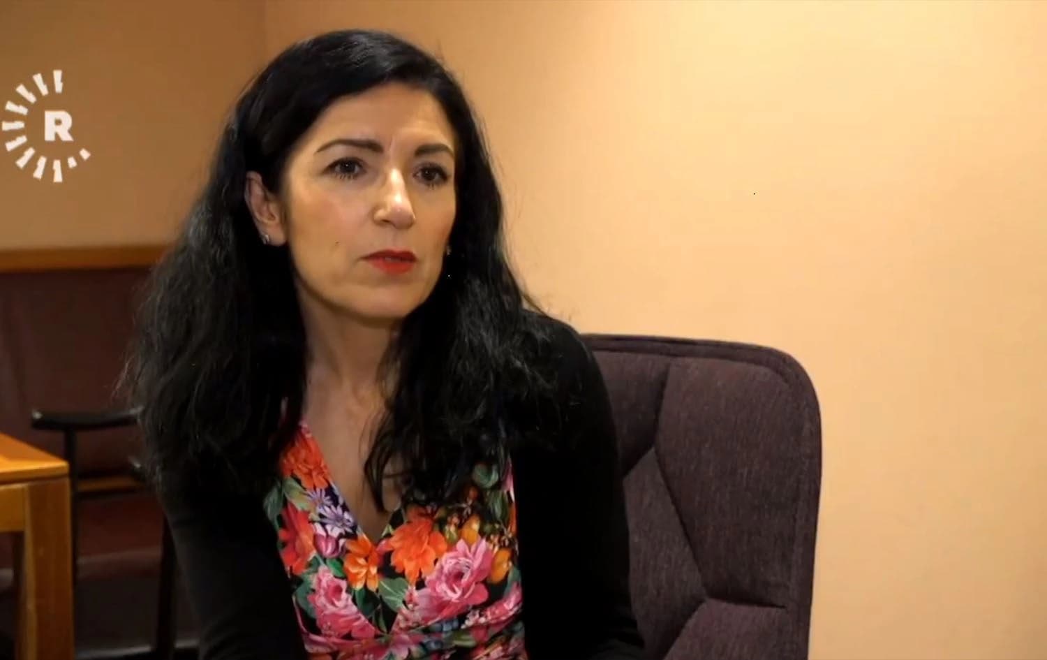 Amineh Kakabaveh: İsveç hükümetinden Rojava'ya yardım garantisi aldım
