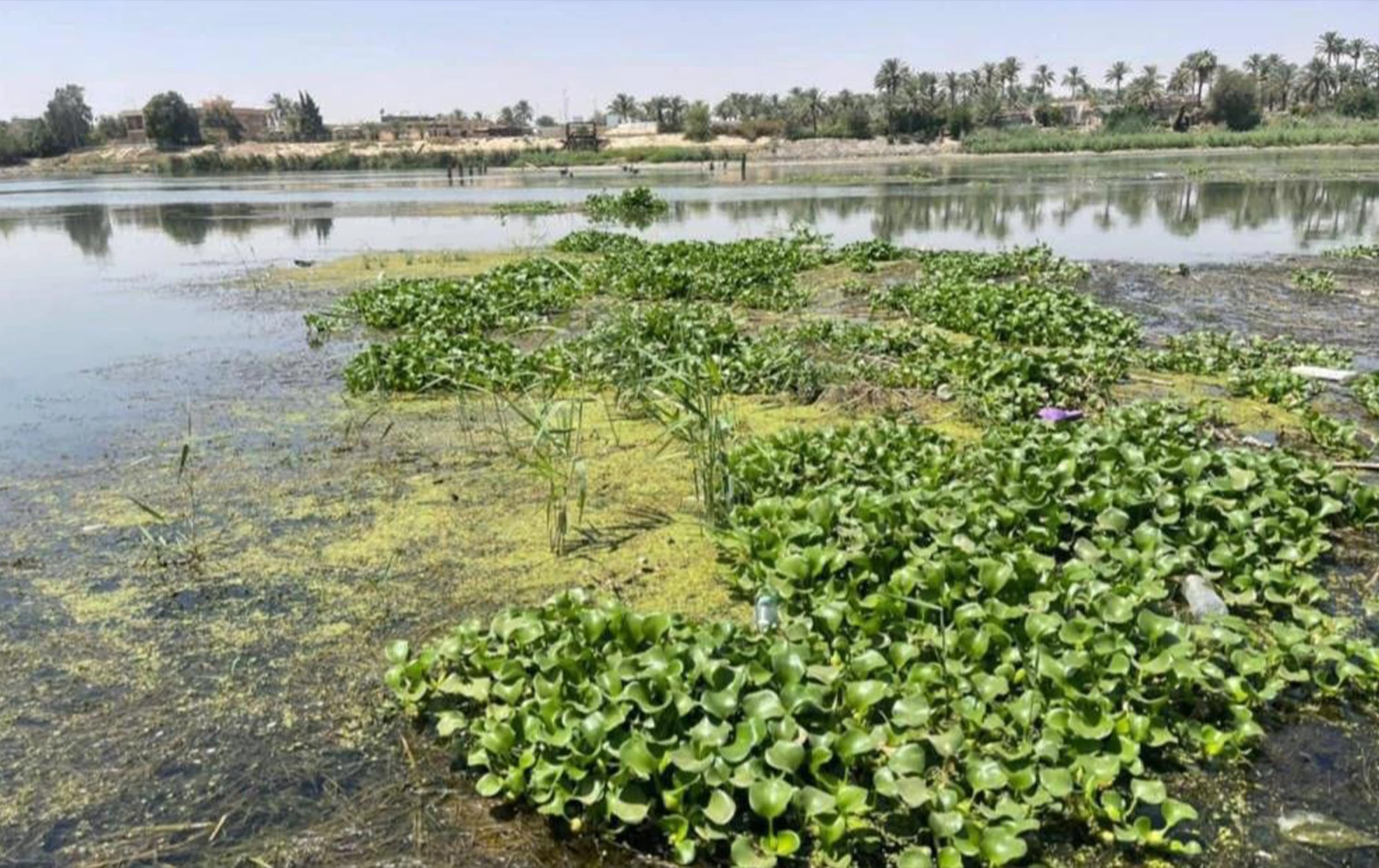 نهر الفرات