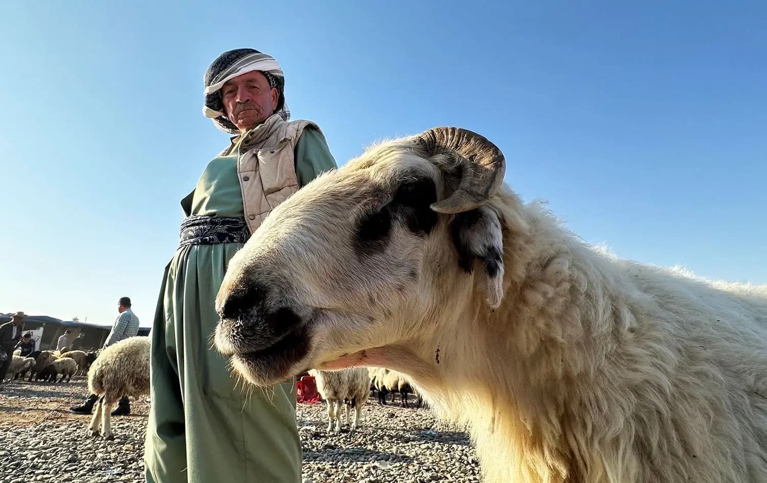 A man standing next to a sheep he bought in Zakho, Duhok. Photo: Rudaw