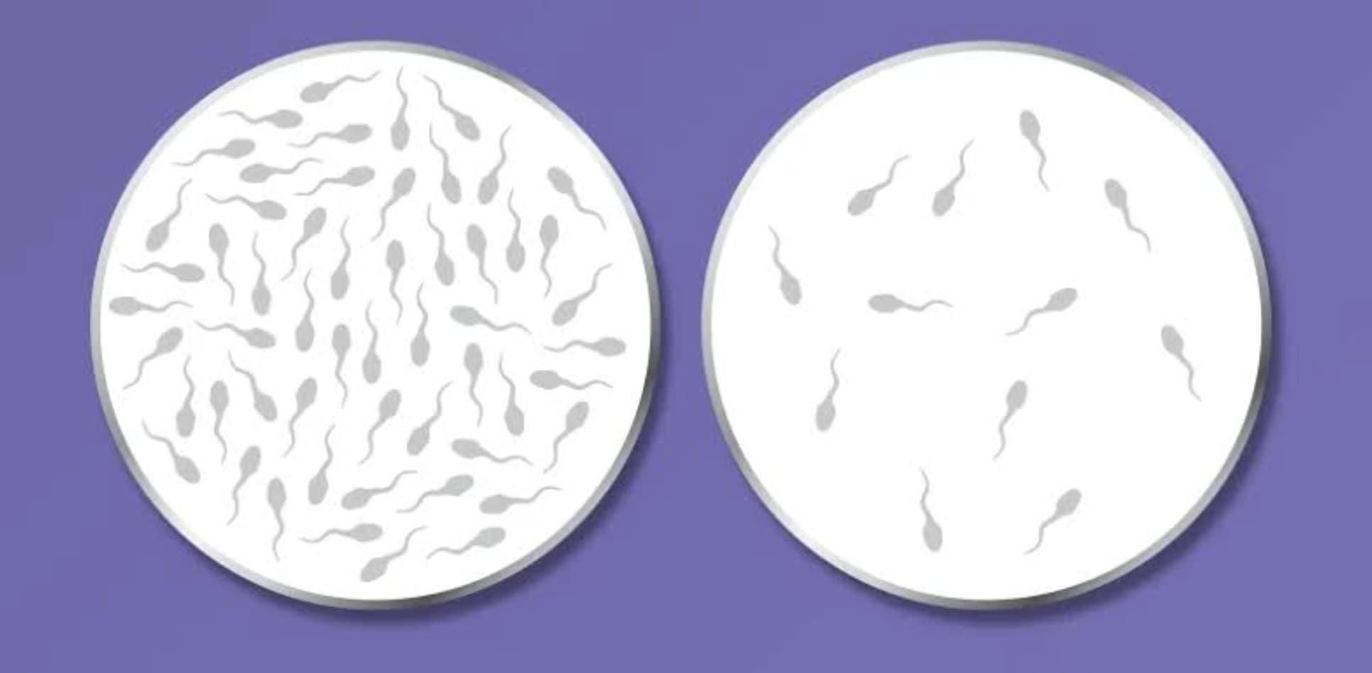 Article hero image