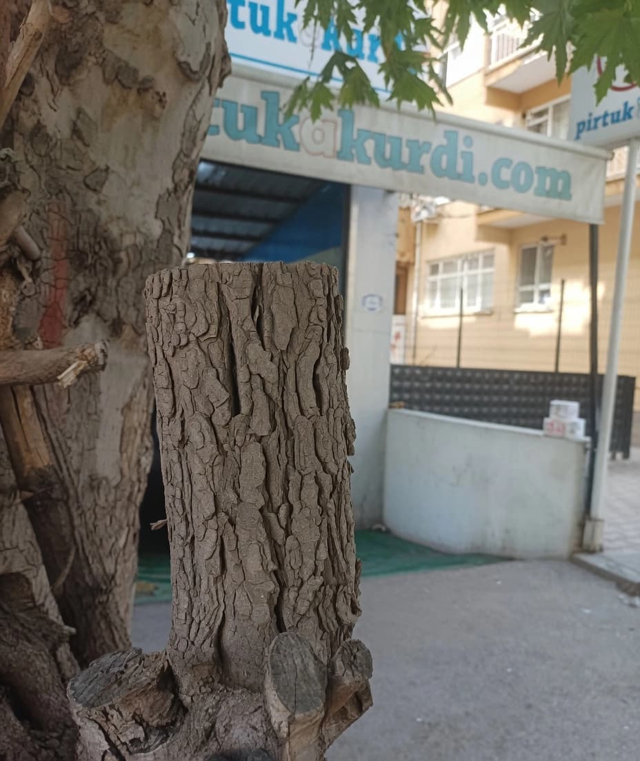 Ber deriyê pirtûka Kurdî, Amed / Wêne: Arşîv