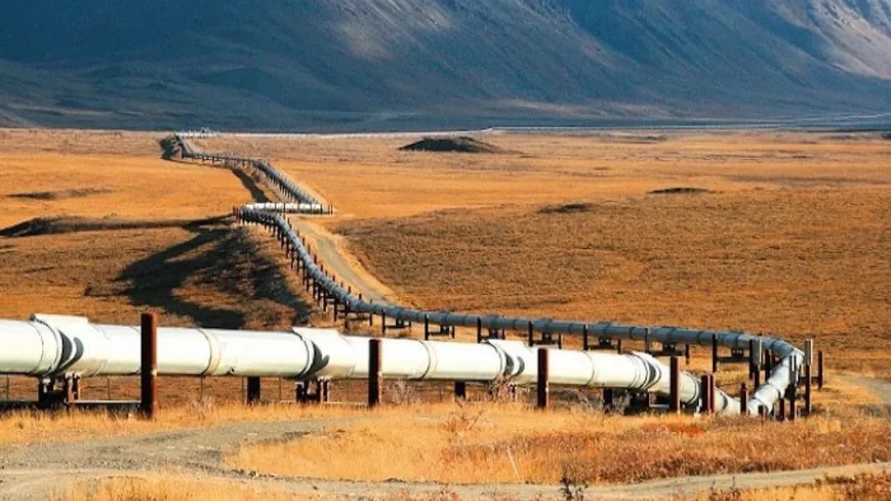 وێنەکە بۆ زیاتر روونکردنەوەی هەواڵەکەیە