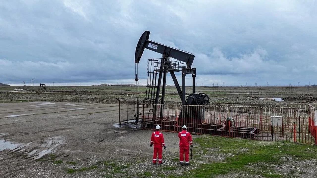 Qadeke petrolê / Wêne: Arşîv