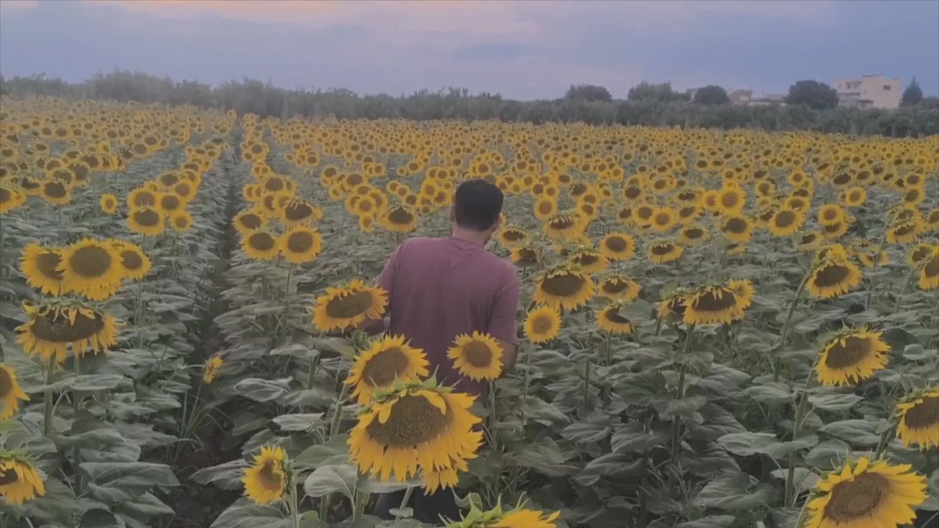 Foto: Video alıntısı / Rûdaw
