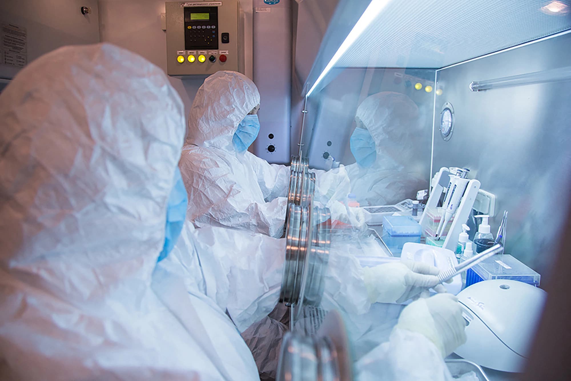 صورة مقدمة من معهد إيركوتسك لأبحاث مكافحة الأوبئة / AFP PHOTO / IRKUTSK ANTIPLAGUE RESEARCH INSTITUTE