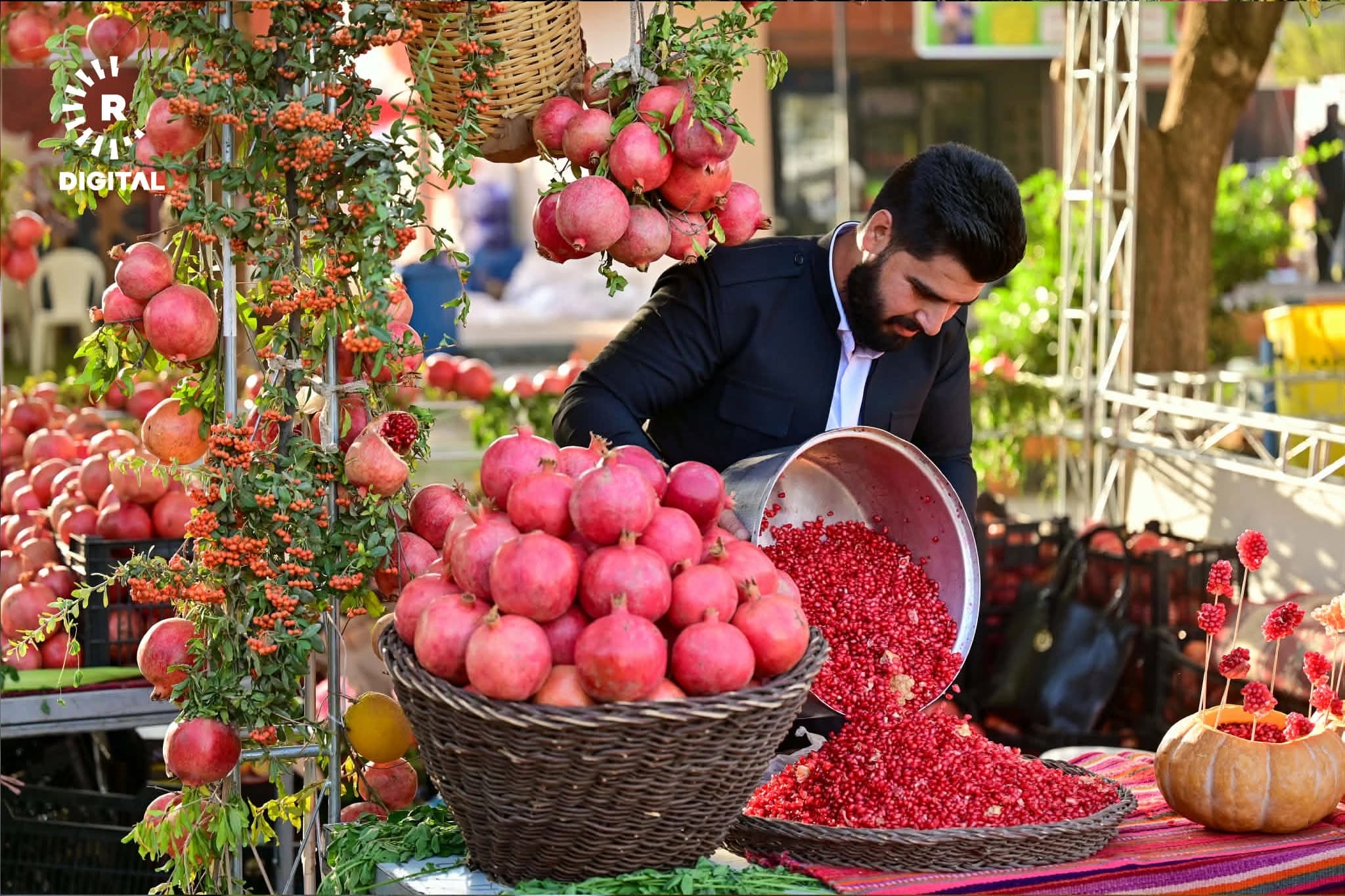 فێستیڤاڵی هەنار لە هەڵەبجە، وێنە: بڵند تاهیر - رووداو