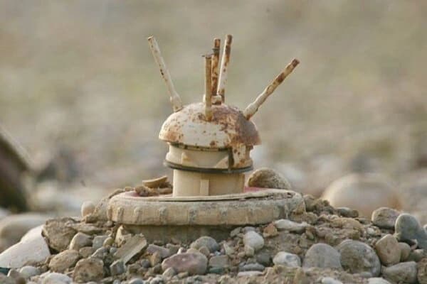 وێنەی مینێک