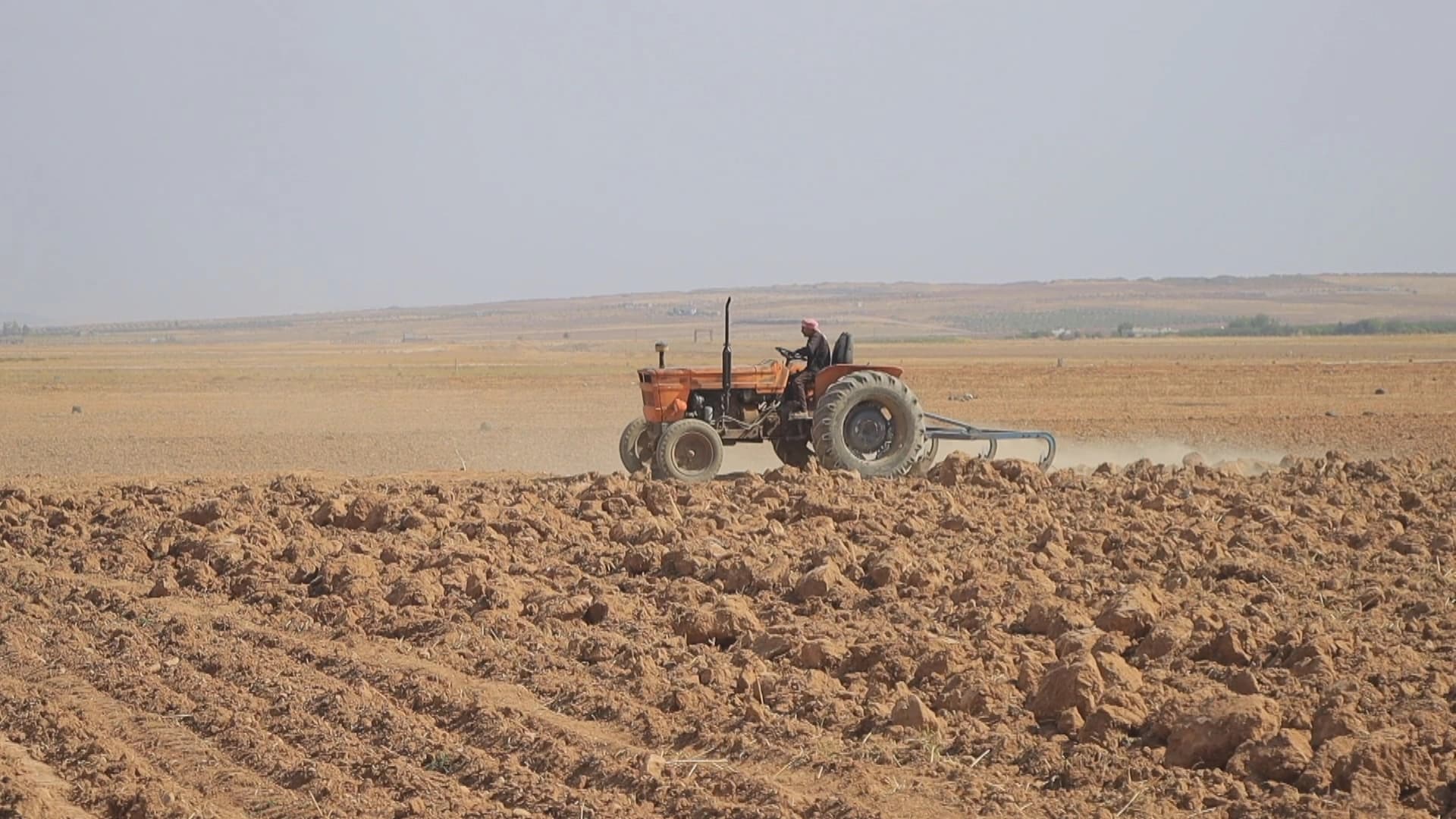 Li Kobaniyê mesref giran in, cotkar bi traktorên nîv sedsalî zeviyên xwe diajon
